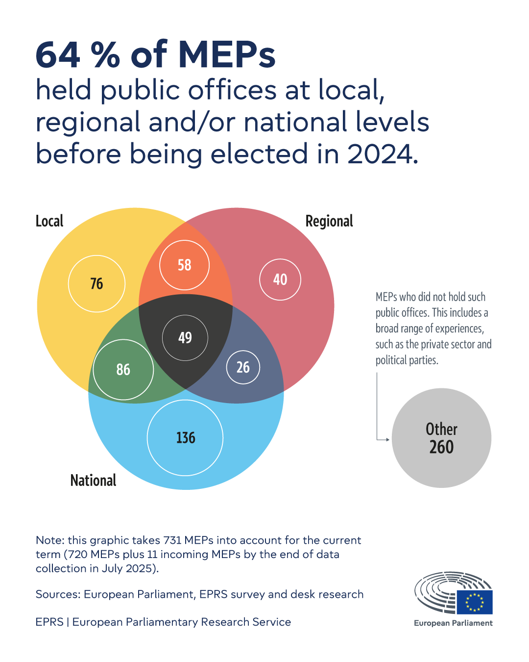 MEPs' public-office experience before being elected in 2024
